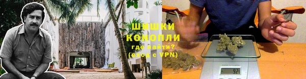 ПСИЛОЦИБИНОВЫЕ ГРИБЫ Верхнеуральск