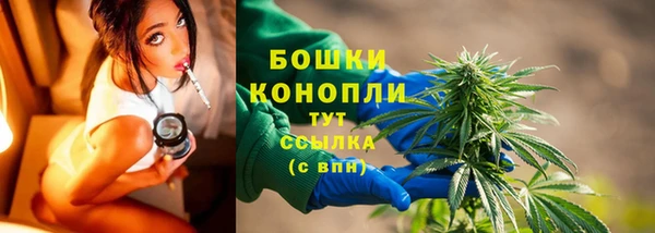 первитин Богородицк