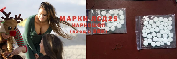 ПСИЛОЦИБИНОВЫЕ ГРИБЫ Верхнеуральск