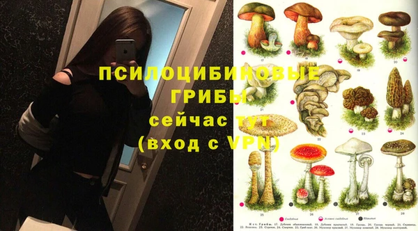 ПСИЛОЦИБИНОВЫЕ ГРИБЫ Верхнеуральск