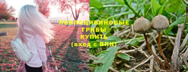 каннабис Богданович