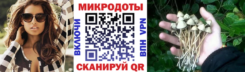 Купить  Невьянск  Псилоцибиновые грибы MAGIC MUSHROOMS 