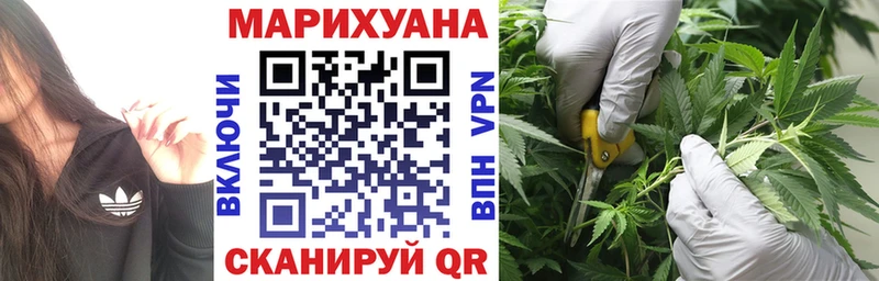 Купить где  Невьянск  Канабис конопля 